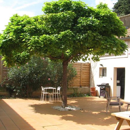 Maison La Soleiade Carcassonne Ngoại thất bức ảnh